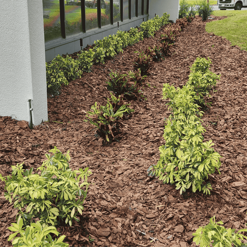 Comprehensive Florida turf fertilization and pest control by Turfscape Enterprises