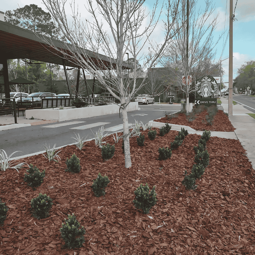 Florida home lawn fertilization and pest control services by Turfscape Enterprises