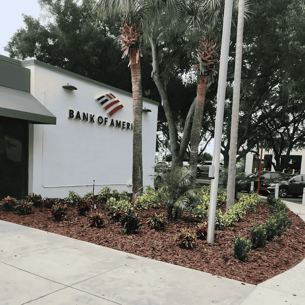 Professional seasonal pruning and palm tree trimming by Turfscape Enterprises in Florida